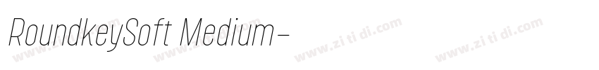RoundkeySoft Medium字体转换